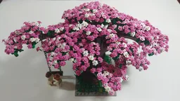 Cherry Blossom Tree