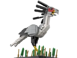 Secretary Bird