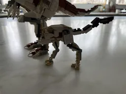 Small Oviraptorid