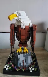Bald Eagle