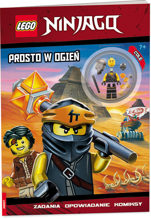 Lego Ninjago: Into the Fire
