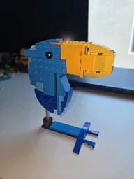 Exotic Dodo Display 31136