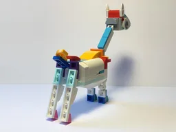 31140:albino giraffe