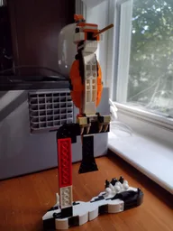 Woodpecker