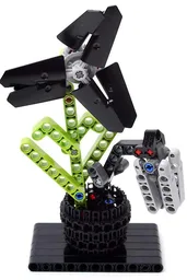 42021 Alternate Model D