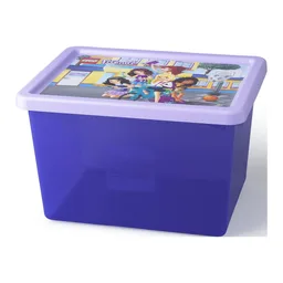 Storage Box Large with Friends Print