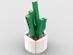 Potted plant