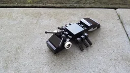 Ant