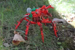 (G2) - The Red Ant Buggy