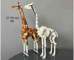 Giraffe skeleton