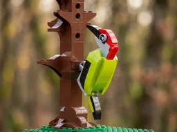 Green woodpecker (Picus viridis)