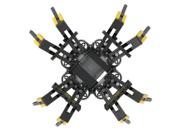 Tarantula