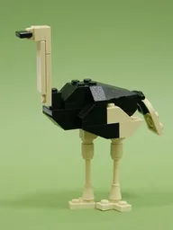 Ostrich Male