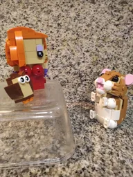 Surprised Hamster