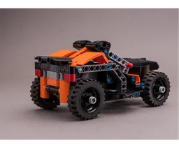 42166 Desert Bug