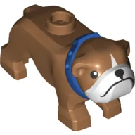 Animal, Dog, Bulldog with White Face, Blue Collar / Medium Nougat