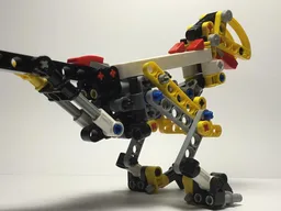 Raptor