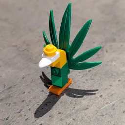 11017 Peacock