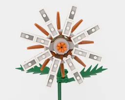 Orange and White Flower