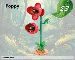 Poppy