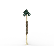 Palm Tree Bundle