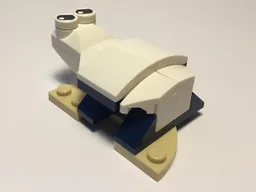31088 turtle