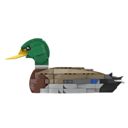 Mallard