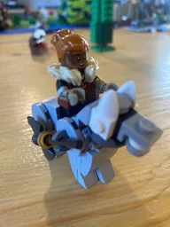 Wolf rider