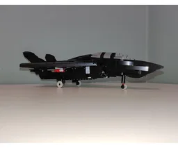 10304 Blackbird
