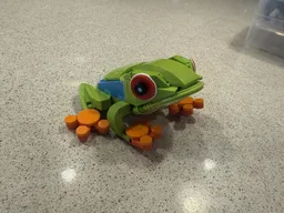 Tree Frog