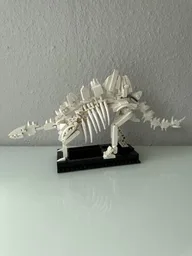 Stegosaurus