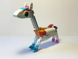 31140:albino giraffe