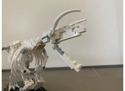 MOC-253117