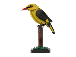 Golden oriole