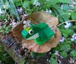 11015 Frog