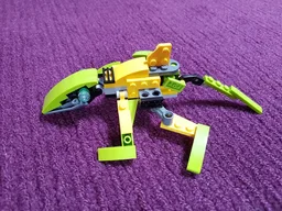 Lizard