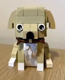 Dog black/white