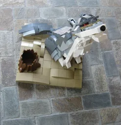 Wolf