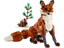 Forest Animals: Red Fox