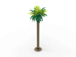 Palm Tree