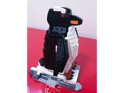 Gentoo Penguin