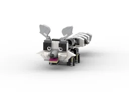 31021 Raccoon