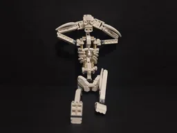 Human skeleton