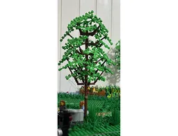 City oval tree