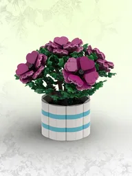 Pink Anemone (BT023)