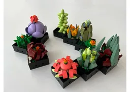 Succulent Remix
