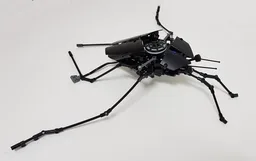 Technic Water Strider