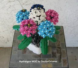 Hydrangea (BT009)