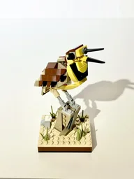 Western Meadowlark
