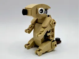 30666 Prairie Dog